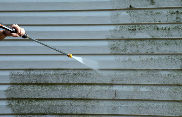Best Sidewalk and Walkway Cleaning  in Port Jefferson, NY